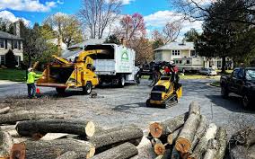 Best Lawn Seeding  in Prescott, AZ